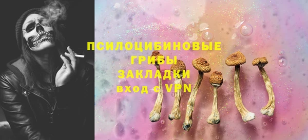 амф Алексин