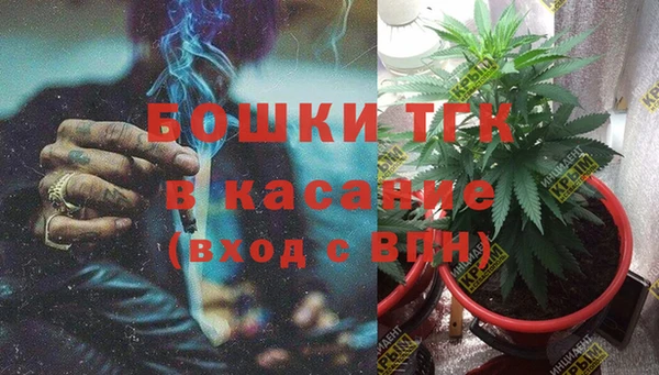 амф Алексин